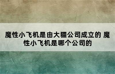 魔性小飞机是由大疆公司成立的 魔性小飞机是哪个公司的